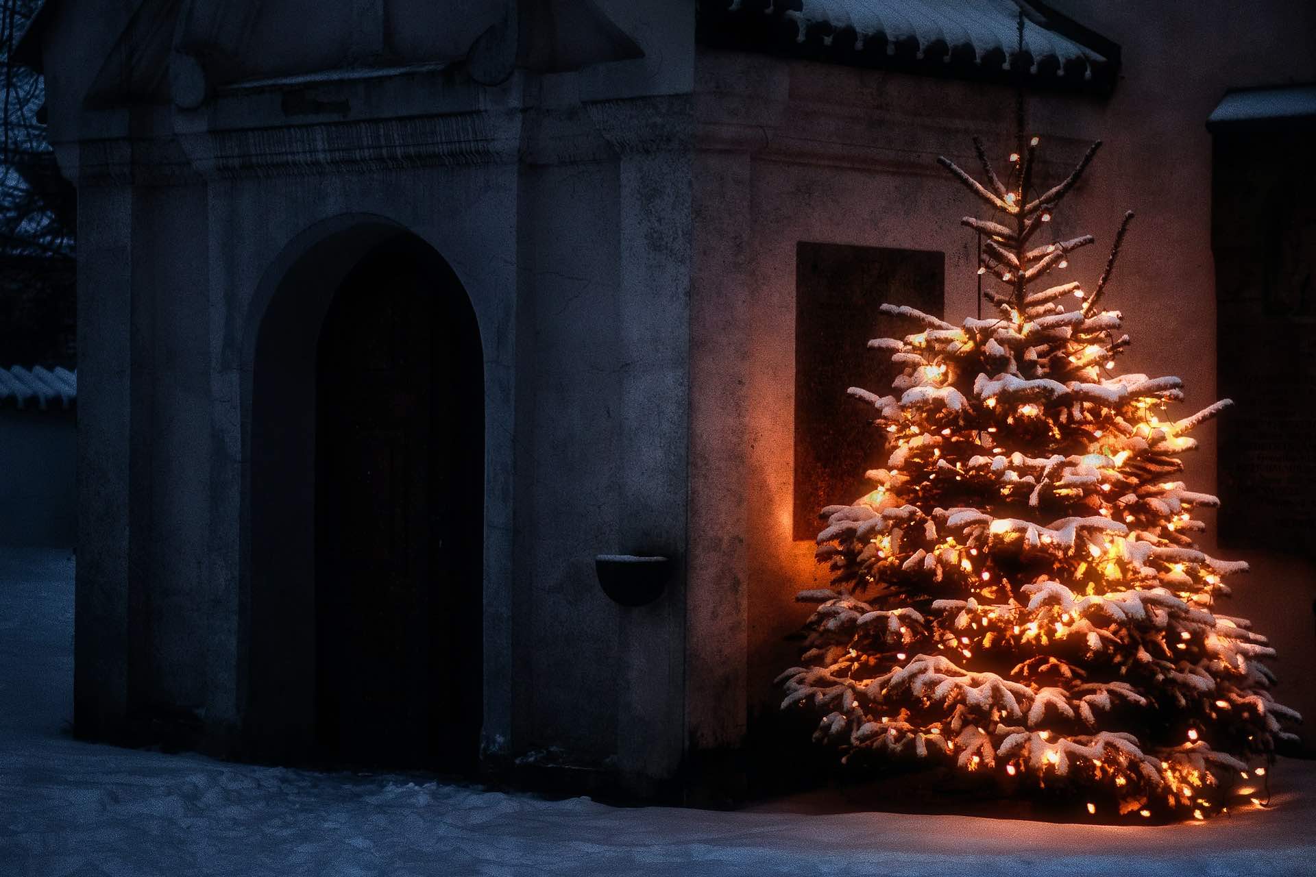 A Christmas tree outdoors in the snow decorated with white lights.